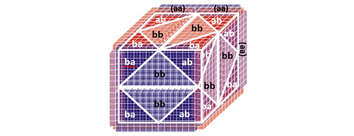 the pattern cube